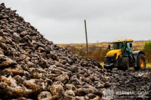 Кагат буряків і трактор JCB