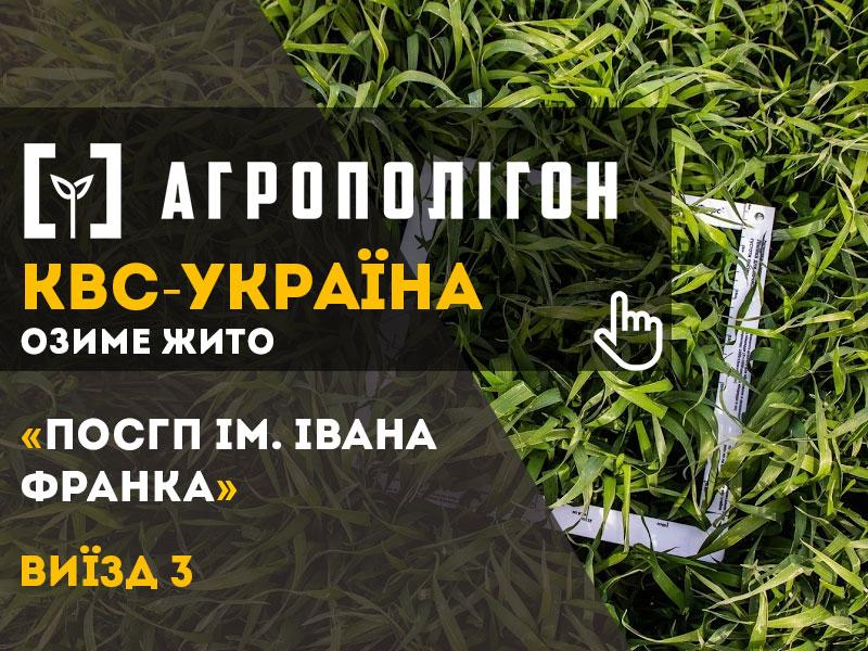 Гібриди озимого жита КВС БРАЗЕТТО і КВС МАГНІФІКО на полях господарства розкущилися дуже добре