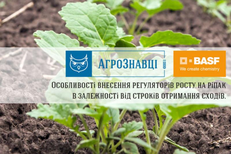 АгроЗнавці від BASF