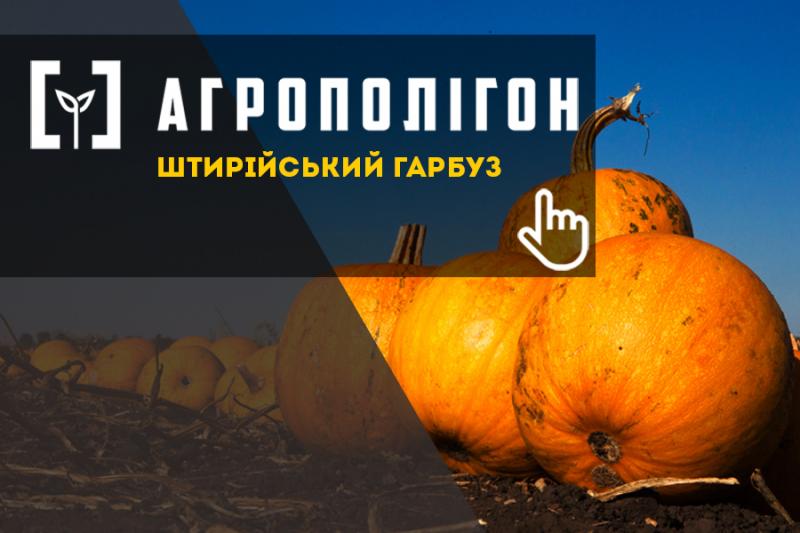 АгроПолігон Сварог Вест Груп: Штирійський гарбуз порадував, незважаючи на погодні сюрпризи