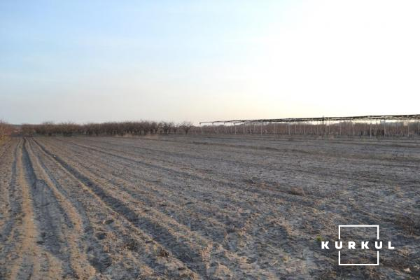 Земля під майбутні насадження