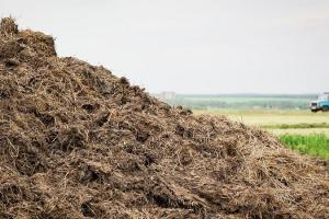 Як переробити відходи у доходи: препарат Farmador C для обробки гною