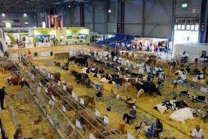 EuroTier 2022