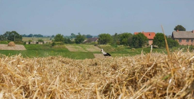 Як біологічне землеробство допоможе врятувати ґрунти