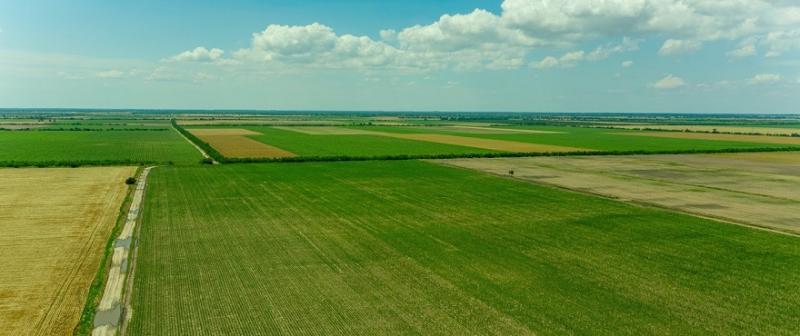 Передача та захист переважного права викупу землі