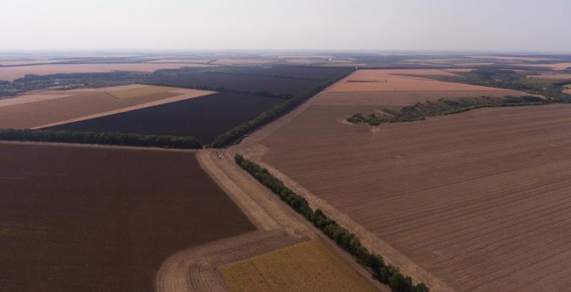 Війна за оренду паїв: Карта термінів договорів допоможе вижити