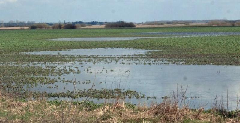 Каховська трагедія — 10 кроків відновлення господарства