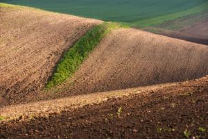 Україна не готова до продажу землі — експерт