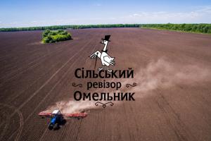 Поле в Омельнику