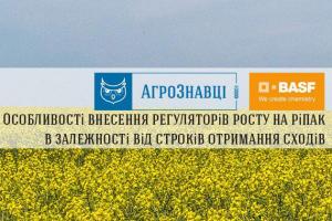 Спитайте в АгроЗнавців, як вносити регулятори росту на ріпак