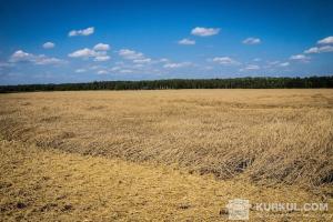 Земельні угіддя