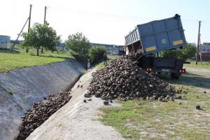 Вантажівка з цукровими буряками