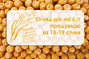 Огляд цін на с/г продукцію за 15 – 19 січня