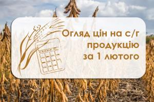 Огляд цін на с/г продукцію станом на 1 лютого 