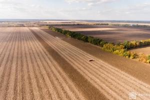 У перший день на Кіровоградщині оформили декілька розписок