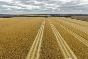 Завдяки впровадженню аграрних розписок, Дніпропетровщина позмагається за першість