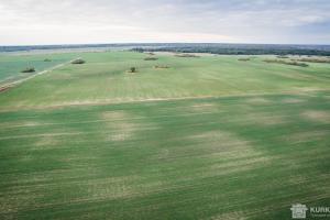 Загалом по Україні вже оформлені 207 аграрних розписок.