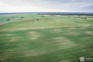 Передача земель ОТГ відбуватиметься за графіком