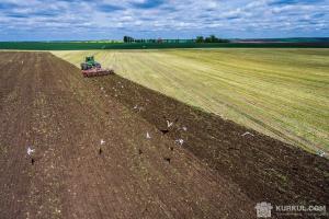 В Україні триває посівна зернових