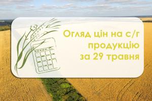 Огляд цін на с/г продукцію станом на 29 травня 