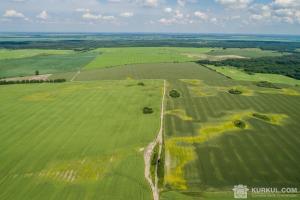 Керівника агрофірми засудили на 5 місяців