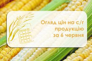 Огляд цін на с/г продукцію станом на 6 червня