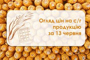 Огляд ціна на с/г продукція станом на 13 червня