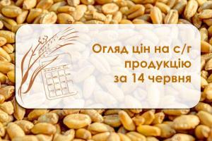 Огляд цін на с/г продукцію станом на 14 червня