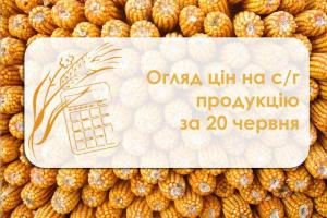 Огляд цін на с/г продукцію станом на 20 червня