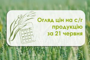 Огляд цін на с/г продукцію станом на 20 червня