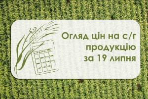 Огляд цін на с/г продукцію станом на 19 липня