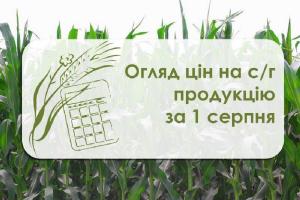 Огляд цін на с/г продукцію станом на 1 серпня