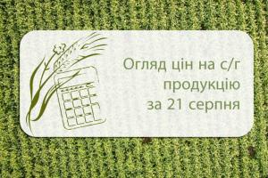 Огляд цін на с/г продукцію станом на 21 серпня