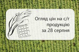 Огляд цін на с/г продукція станом на 28 серпня