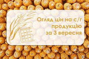 Огляд цін на с/г продукція станом на 3 вересня