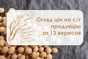 Огляд цін на с/г продукцію за 13 вересня