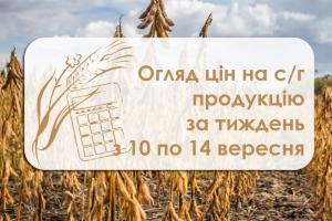 Огляд цін на с/г культури за тиждень з 10 по 14 вересня