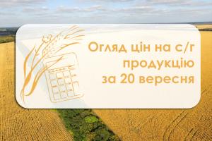 Огляд цін на с/г продукцію за 20 вересня