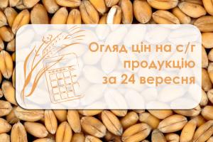 Огляд цін на с/г продукцію за 24 вересня 