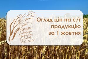 Огляд цін на с/г продукцію за 1 жовтня