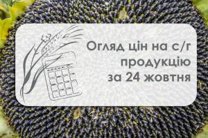 Вартість соняшнику нестабільна — огляд цін на с/г культури за 24 жовтня 