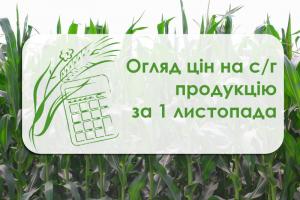 Зернові подешевшали у порту Миколаївщини — огляд цін на с/г продукцію за 1 листопада 