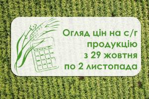 Зміна вартості пшениці, кукурудзи, соняшнику та інших за тиждень — огляд цін з 29 жовтня по 2 листопада 