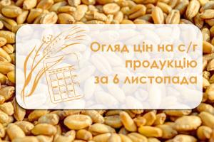 Вартість зернових збільшилася — огляд цін на с/г продукцію за 6 листопада