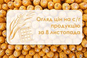 Ціни на зерно продовжують знижуватися — огляд цін на с/г продукцію за 8 листопада 