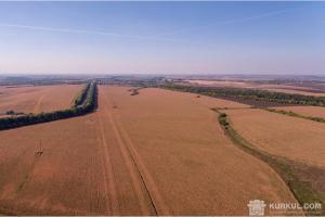 Українських фермерів перевірятимуть через супутники