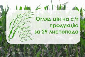 Вартість зернових та олійних стабілізувалася — огляд цін на с/г продукцію за 29 листопада 