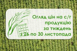 Як змінилася вартість зернових та олійних — огляд цін за тиждень з 26 по 30 листопада 