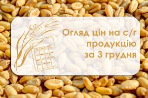 Зернові подорожчали, олійні подешевшали — огляд цін на с/г продукцію за 3 грудня