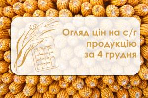 Зернові та олійні подешевшали — огляд цін на с/г продукцію за 4 грудня